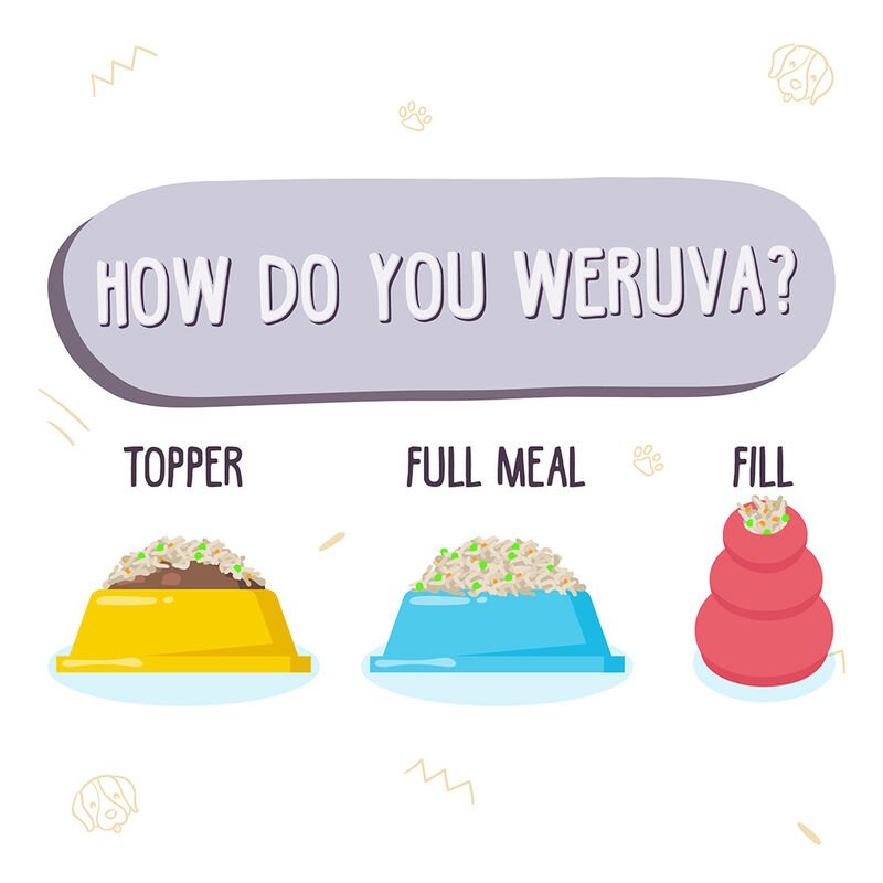 Weruva, Can, Adult - Steak Frites - Shreds - Wet Dog Food image number null